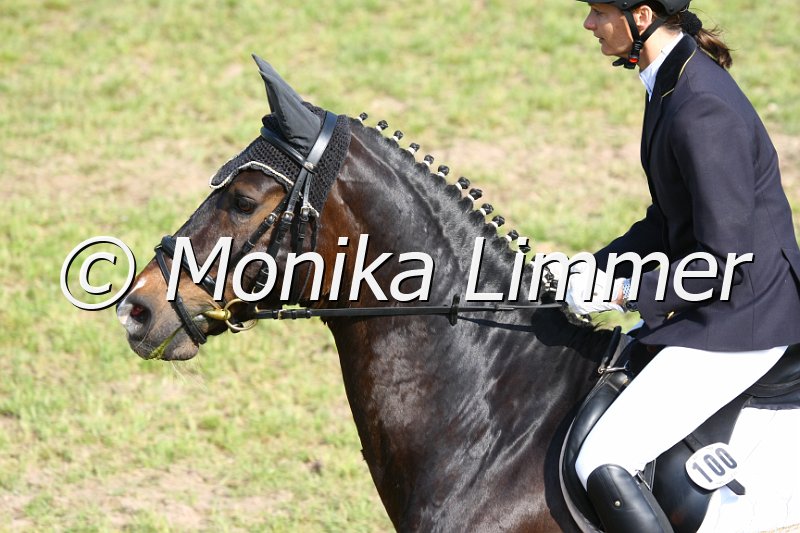 105M1746_Diamant L_Stil_A.JPG